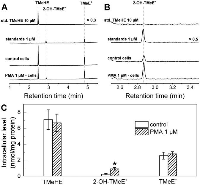 https://cdn.ncbi.nlm.nih.gov/pmc/blobs/57a3/7596101/5100effc7837/41598_2020_75373_Fig9_HTML.jpg