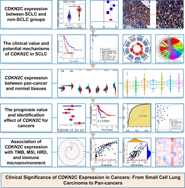 https://cdn.ncbi.nlm.nih.gov/pmc/blobs/57a3/9233395/f70de4b0de3e/12890_2022_2036_Fig1_HTML.jpg