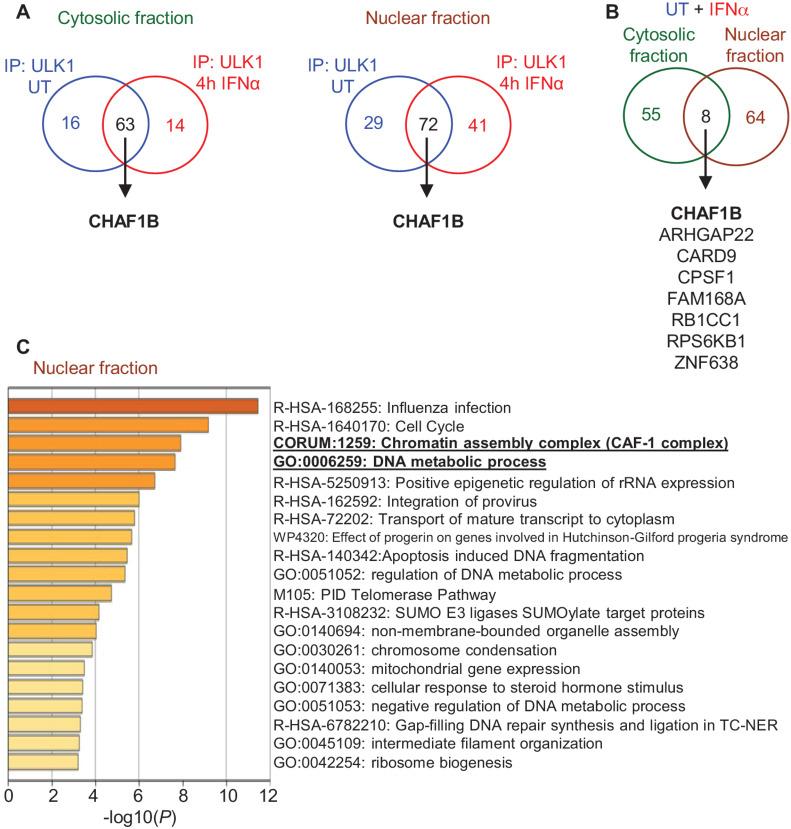 https://cdn.ncbi.nlm.nih.gov/pmc/blobs/57a4/10231401/22fdc0be3813/crc-23-0010_fig1.jpg