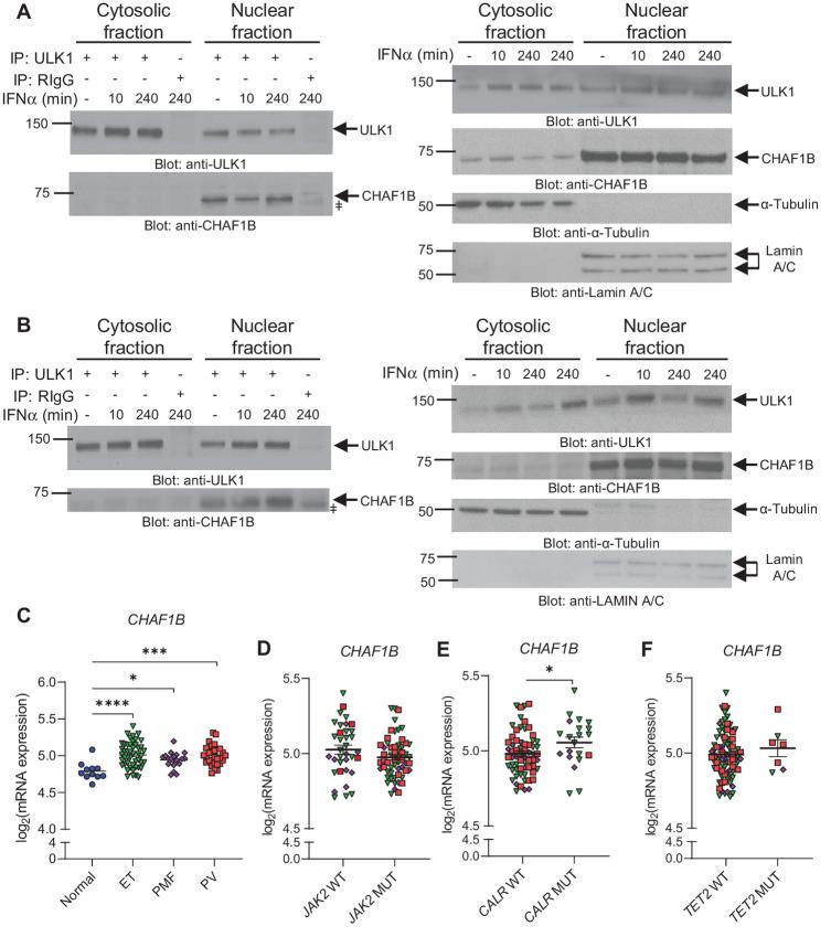 https://cdn.ncbi.nlm.nih.gov/pmc/blobs/57a4/10231401/25c135fc8270/crc-23-0010_fig2.jpg