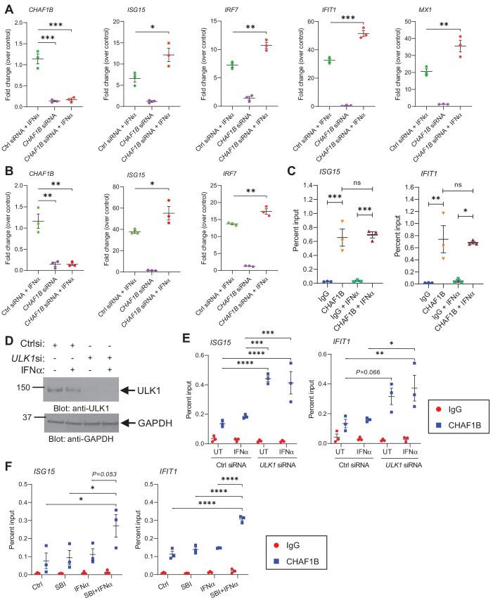 https://cdn.ncbi.nlm.nih.gov/pmc/blobs/57a4/10231401/f99c11ea1653/crc-23-0010_fig3.jpg