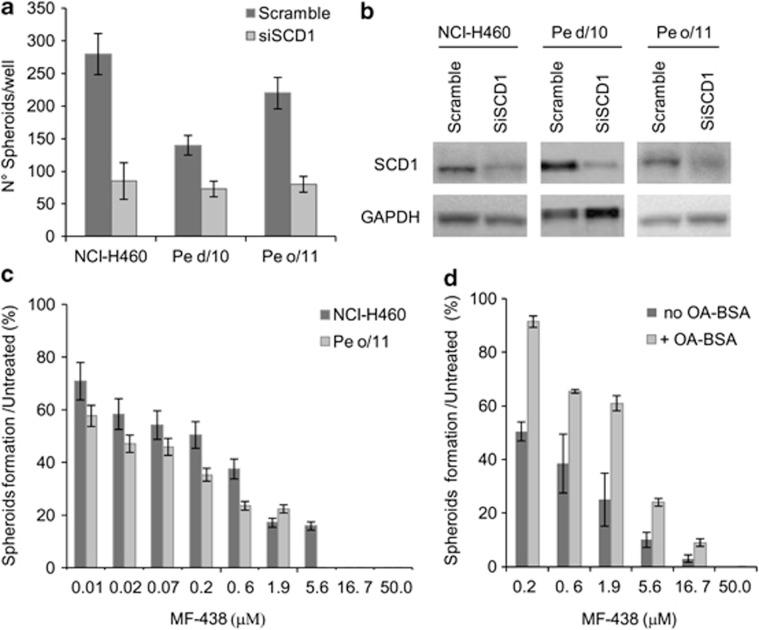https://cdn.ncbi.nlm.nih.gov/pmc/blobs/57a4/3877537/3d4f47eb49f2/cddis2013444f2.jpg