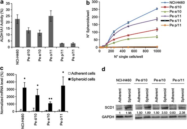 https://cdn.ncbi.nlm.nih.gov/pmc/blobs/57a4/3877537/ca18702e63d7/cddis2013444f1.jpg