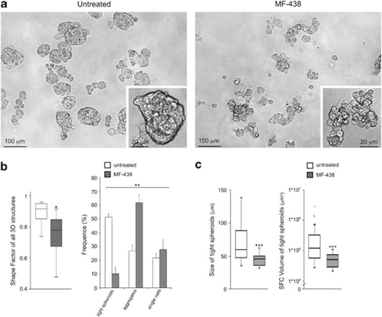 https://cdn.ncbi.nlm.nih.gov/pmc/blobs/57a4/3877537/dccfca054aa2/cddis2013444f3.jpg