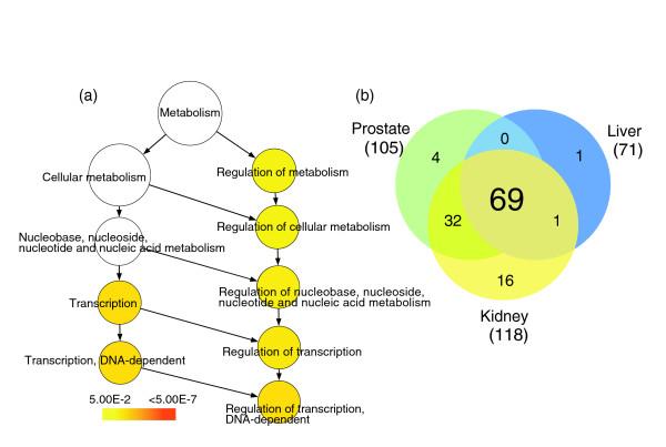 https://cdn.ncbi.nlm.nih.gov/pmc/blobs/57a7/1868932/7ff6b8b632ee/gb-2007-8-3-r43-7.jpg