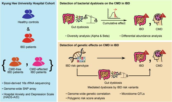 https://cdn.ncbi.nlm.nih.gov/pmc/blobs/57a8/11522461/919d7a33ed25/41525_2024_440_Fig2_HTML.jpg