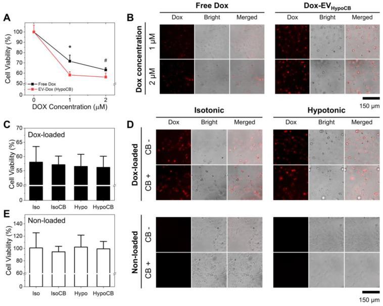 https://cdn.ncbi.nlm.nih.gov/pmc/blobs/57a8/8746776/7711b53a98a4/nanomaterials-12-00003-g005.jpg