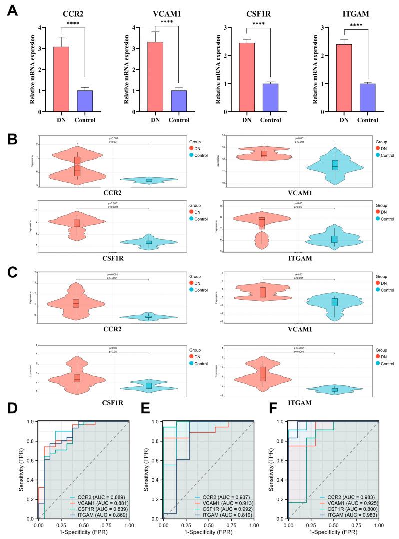 https://cdn.ncbi.nlm.nih.gov/pmc/blobs/57a9/10525809/805da075c2d0/biomedicines-11-02454-g007.jpg