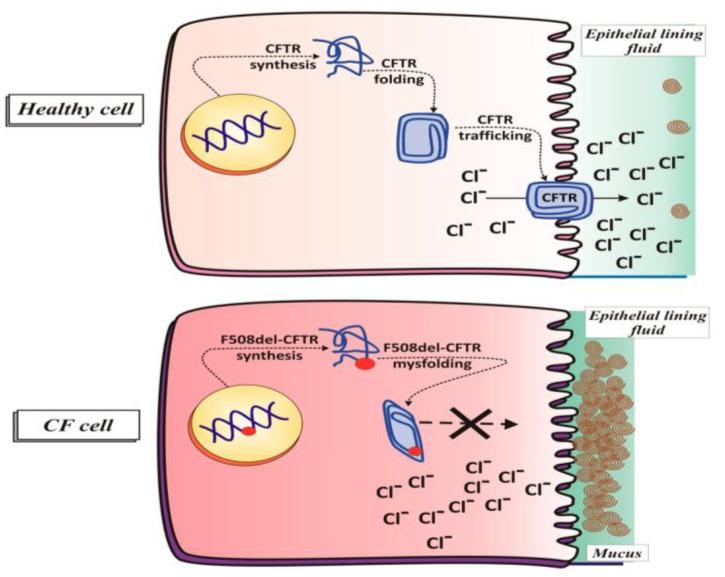 https://cdn.ncbi.nlm.nih.gov/pmc/blobs/57ab/11430251/03cfd6af21e0/biomimetics-09-00574-g001.jpg