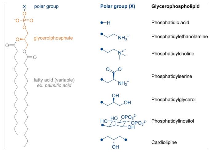 https://cdn.ncbi.nlm.nih.gov/pmc/blobs/57ab/11430251/8c9d156a4435/biomimetics-09-00574-g012.jpg
