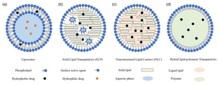 https://cdn.ncbi.nlm.nih.gov/pmc/blobs/57ab/11430251/a5e558755995/biomimetics-09-00574-g011.jpg