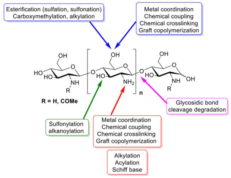 https://cdn.ncbi.nlm.nih.gov/pmc/blobs/57ab/11430251/b1909a818b41/biomimetics-09-00574-g006.jpg