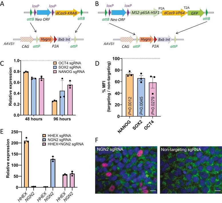 https://cdn.ncbi.nlm.nih.gov/pmc/blobs/57ad/11740728/d2d111242a75/sxae092_fig4.jpg
