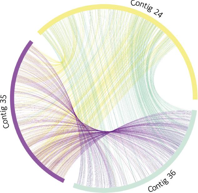 https://cdn.ncbi.nlm.nih.gov/pmc/blobs/57ad/11782629/d55dacbcff84/41597_2025_4434_Fig6_HTML.jpg