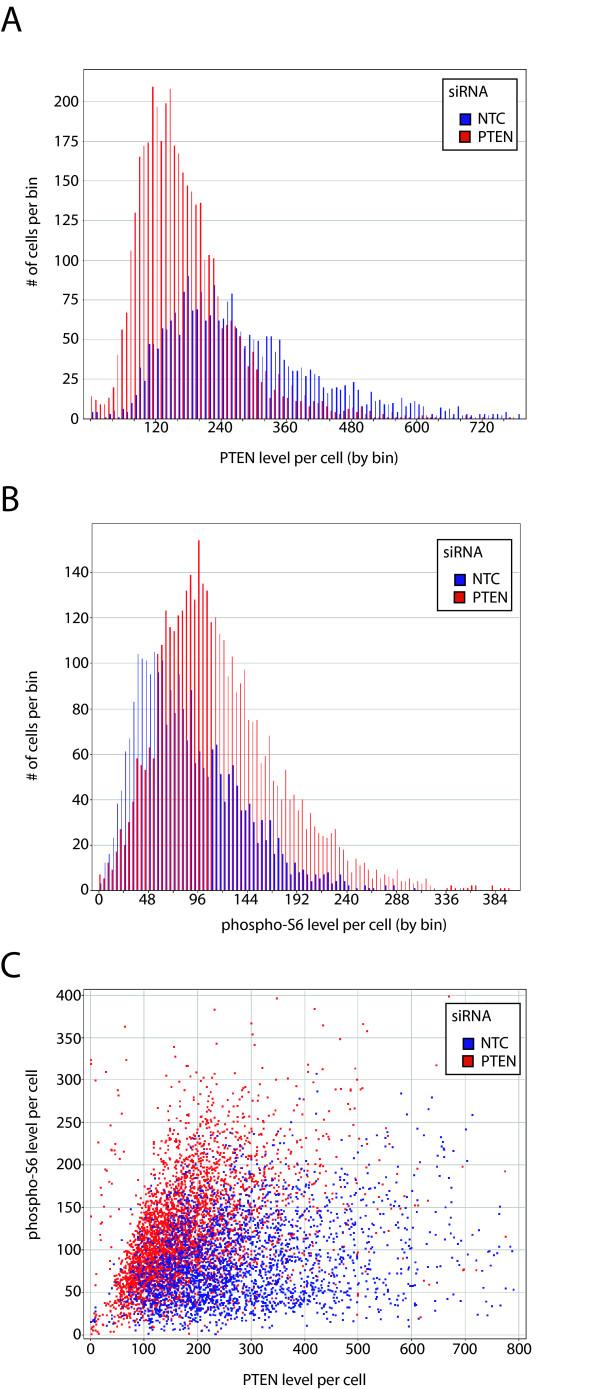https://cdn.ncbi.nlm.nih.gov/pmc/blobs/57ad/2529295/9a84e2240e1e/1471-2121-9-43-3.jpg