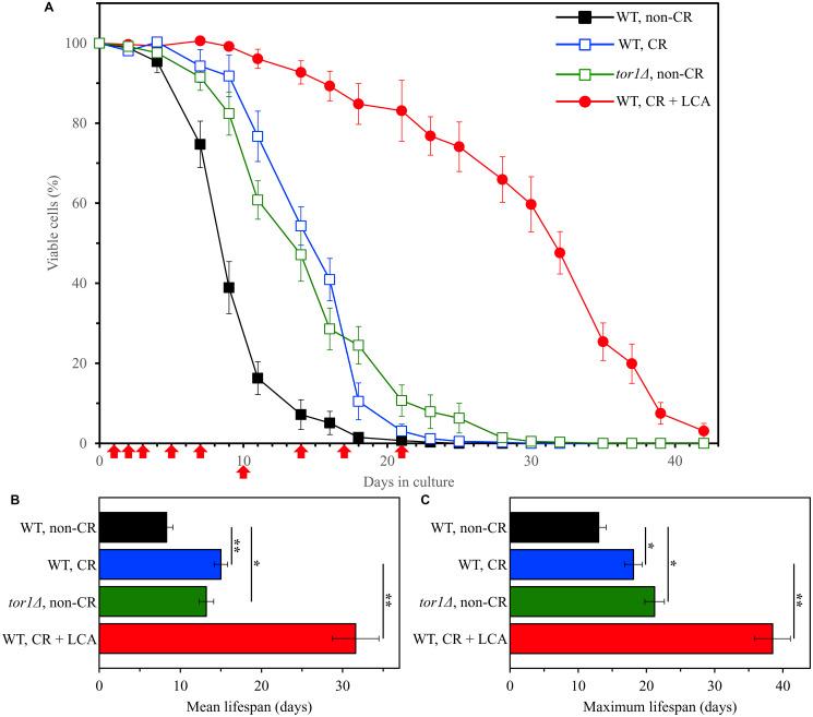 https://cdn.ncbi.nlm.nih.gov/pmc/blobs/57ad/8021023/03253f95bd0f/oncotarget-12-608-g001.jpg