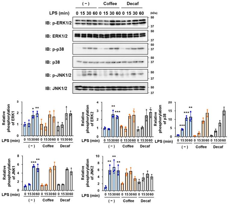 https://cdn.ncbi.nlm.nih.gov/pmc/blobs/57af/10778612/670efc4f2a44/ijms-25-00316-g004.jpg