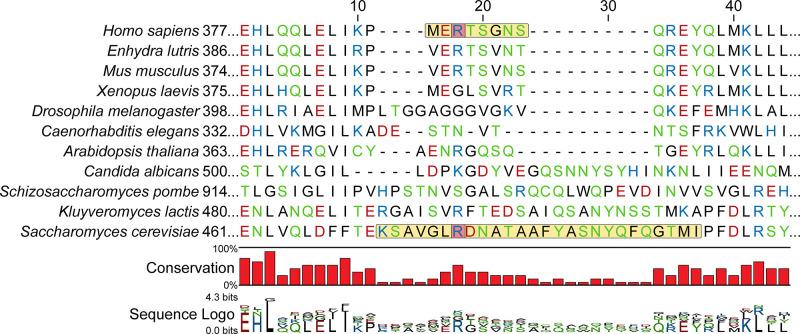 https://cdn.ncbi.nlm.nih.gov/pmc/blobs/57af/7467728/17e24277deb9/elife-58622-fig4-figsupp5.jpg