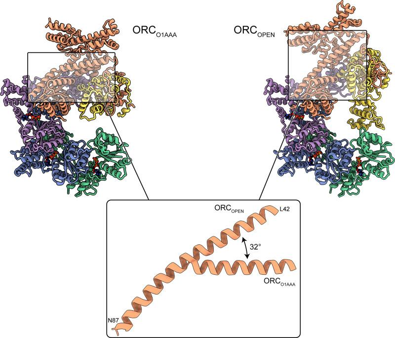 https://cdn.ncbi.nlm.nih.gov/pmc/blobs/57af/7467728/59d5c14baf24/elife-58622-fig3-figsupp2.jpg