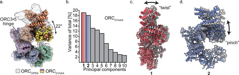 https://cdn.ncbi.nlm.nih.gov/pmc/blobs/57af/7467728/6cbcc7db31bf/elife-58622-fig3.jpg