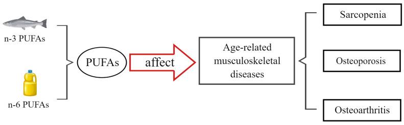 https://cdn.ncbi.nlm.nih.gov/pmc/blobs/57b3/11434726/87b997de7538/nutrients-16-03130-g002.jpg