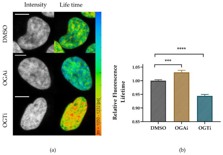 https://cdn.ncbi.nlm.nih.gov/pmc/blobs/57b4/8198441/076b3056eab0/ijms-22-05715-g007.jpg