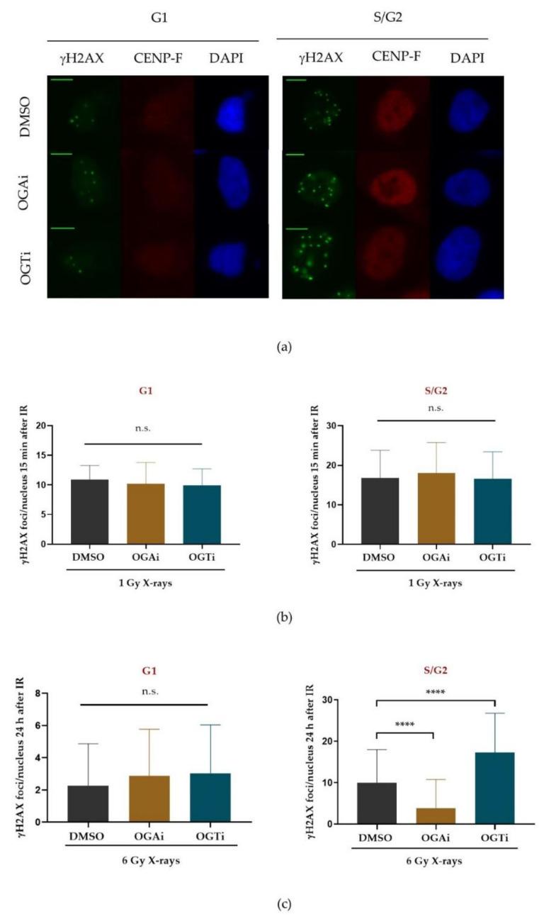 https://cdn.ncbi.nlm.nih.gov/pmc/blobs/57b4/8198441/de70fbb6cb5f/ijms-22-05715-g002a.jpg