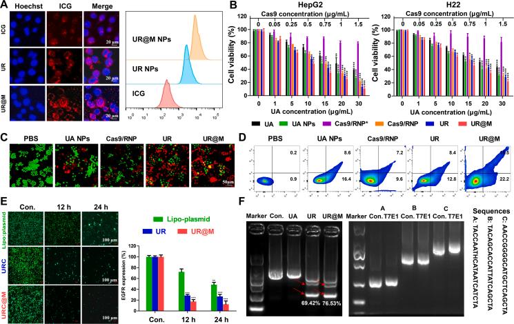 https://cdn.ncbi.nlm.nih.gov/pmc/blobs/57b7/11252477/4b268b3477be/gr3.jpg