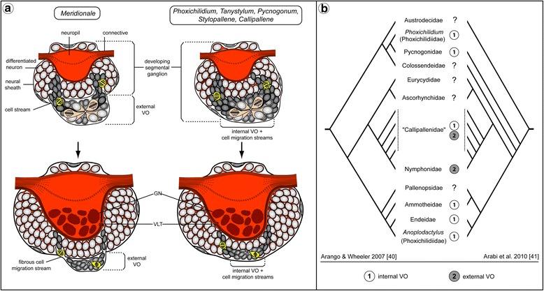 https://cdn.ncbi.nlm.nih.gov/pmc/blobs/57b7/5887176/4a4a60421945/12862_2018_1150_Fig14_HTML.jpg