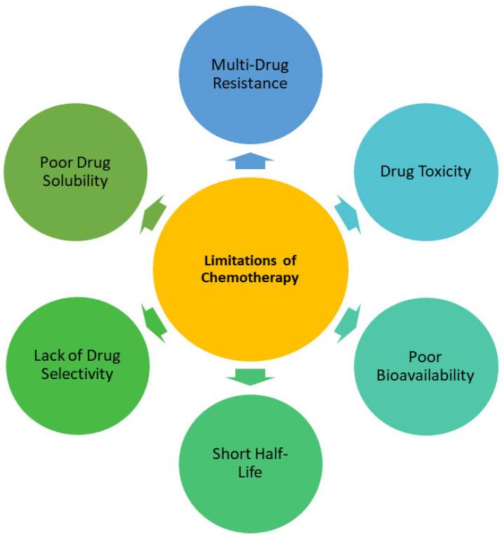 https://cdn.ncbi.nlm.nih.gov/pmc/blobs/57b8/11859135/20acfde613cd/pharmaceutics-17-00190-g001.jpg