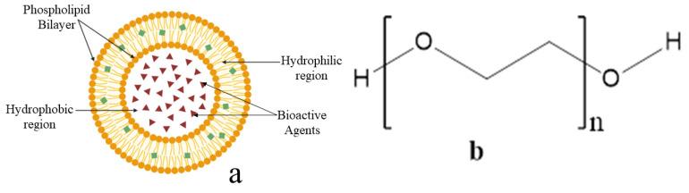 https://cdn.ncbi.nlm.nih.gov/pmc/blobs/57b8/11859135/6c8b6a8c16af/pharmaceutics-17-00190-g003.jpg