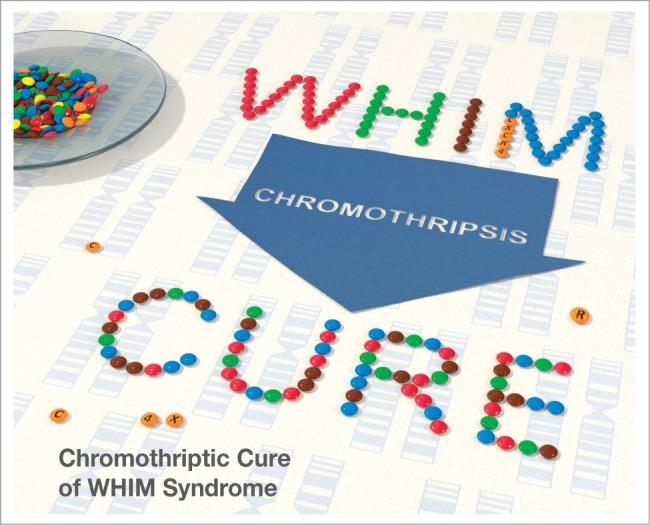 https://cdn.ncbi.nlm.nih.gov/pmc/blobs/57b8/4588533/5a7968109c43/krad-03-01-1073430-g001.jpg