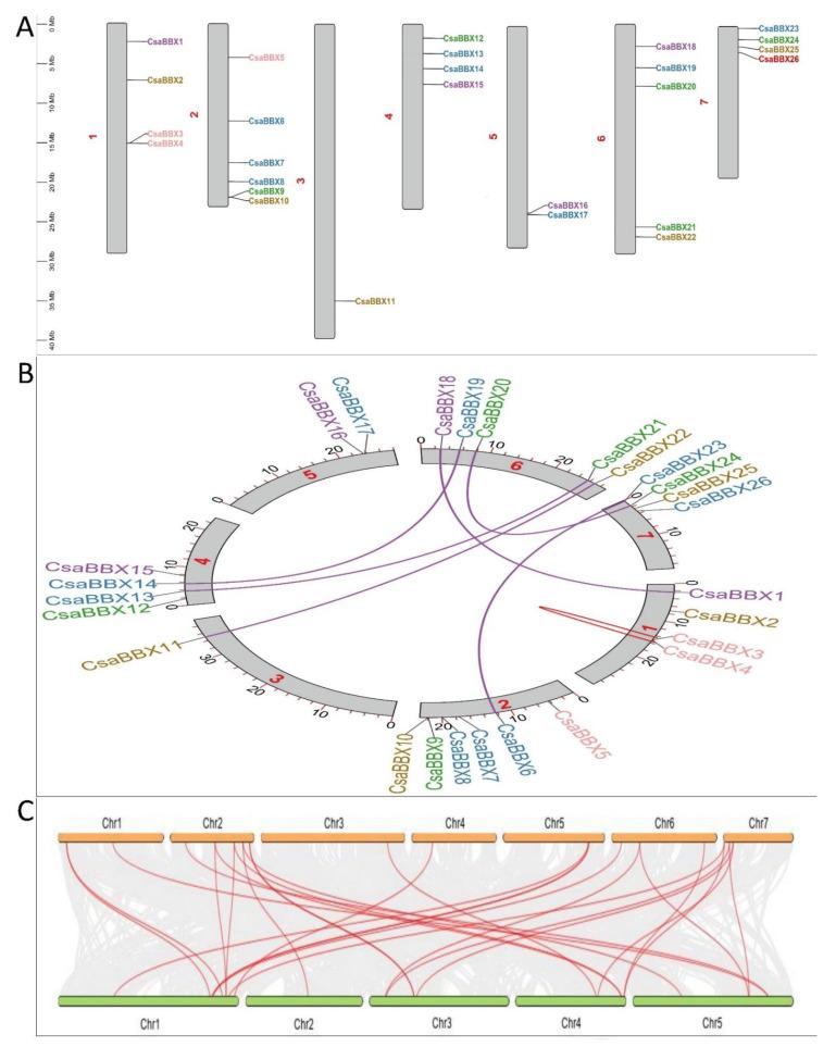 https://cdn.ncbi.nlm.nih.gov/pmc/blobs/57b8/9031713/594d19545f74/genes-13-00658-g005.jpg