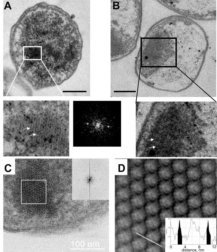 https://cdn.ncbi.nlm.nih.gov/pmc/blobs/57bb/7531825/32c62bcf825e/pone.0231562.g003.jpg
