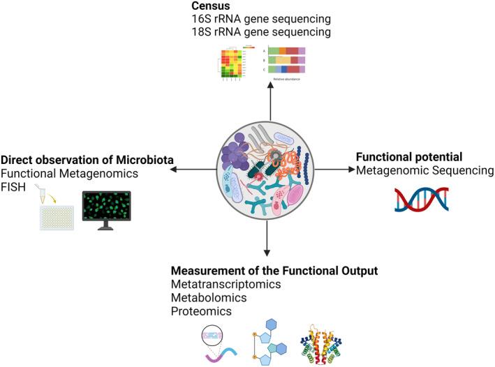 https://cdn.ncbi.nlm.nih.gov/pmc/blobs/57bc/11407905/944285ca86bd/CJP2-10-e70002-g001.jpg