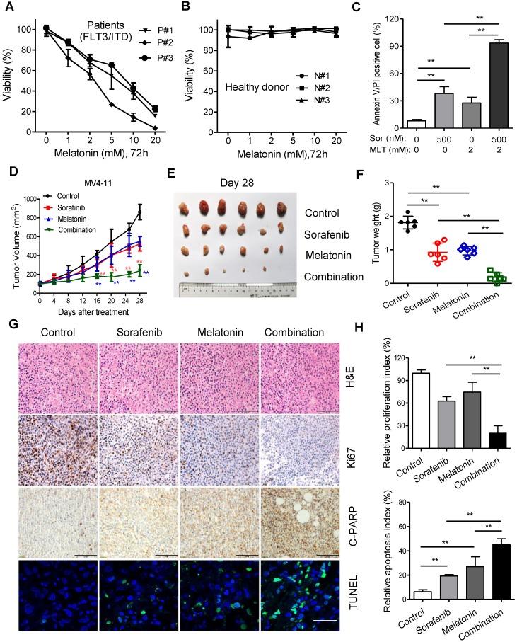 https://cdn.ncbi.nlm.nih.gov/pmc/blobs/57bc/6587355/82af2aa25030/thnov09p3768g004.jpg