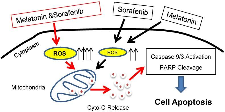https://cdn.ncbi.nlm.nih.gov/pmc/blobs/57bc/6587355/daf67811f13a/thnov09p3768g006.jpg