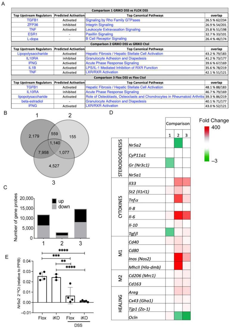 https://cdn.ncbi.nlm.nih.gov/pmc/blobs/57bc/9221003/6fe731478024/cells-11-01905-g003.jpg