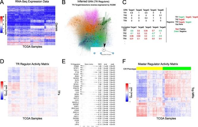 https://cdn.ncbi.nlm.nih.gov/pmc/blobs/57bd/8574720/1dc20831caef/bbab168f1.jpg