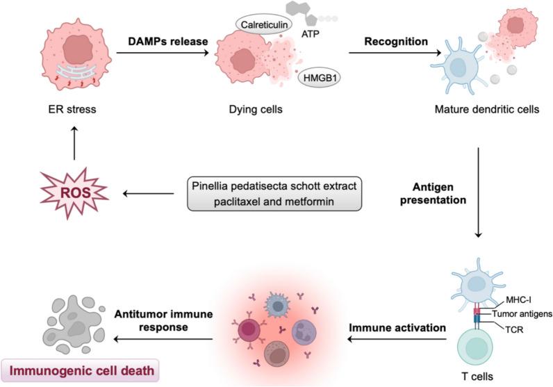 https://cdn.ncbi.nlm.nih.gov/pmc/blobs/57c2/12228355/00a0ae674184/40001_2025_2846_Fig3_HTML.jpg
