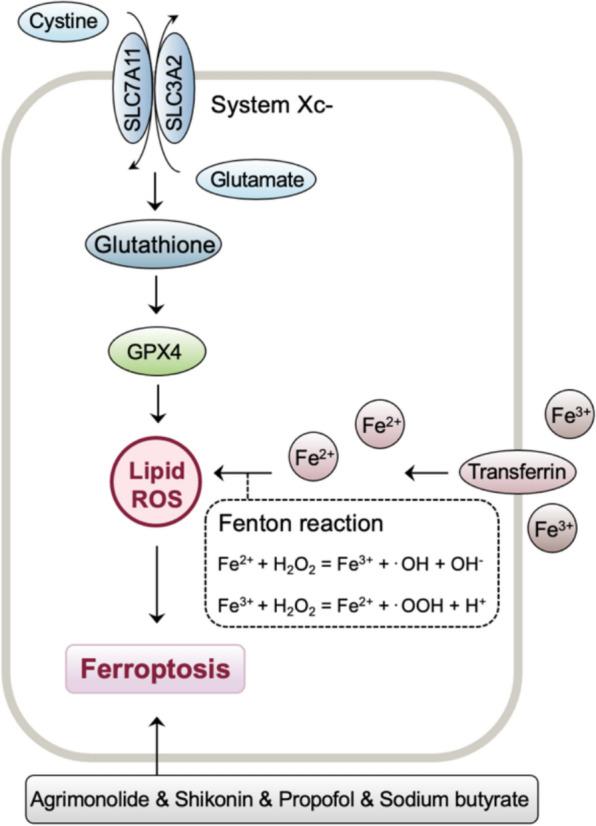 https://cdn.ncbi.nlm.nih.gov/pmc/blobs/57c2/12228355/2ed88d622544/40001_2025_2846_Fig2_HTML.jpg