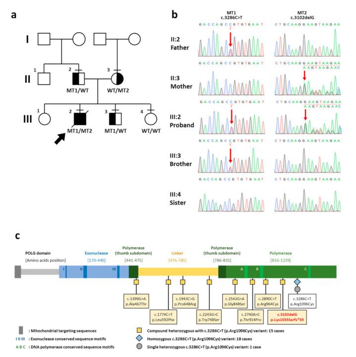 https://cdn.ncbi.nlm.nih.gov/pmc/blobs/57c2/7930966/3080f4398ebd/IJNS-07-00009-g001.jpg