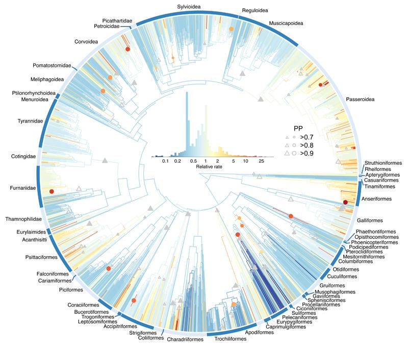 https://cdn.ncbi.nlm.nih.gov/pmc/blobs/57c3/5321581/0c79ffb1eea9/emss-70920-f003.jpg