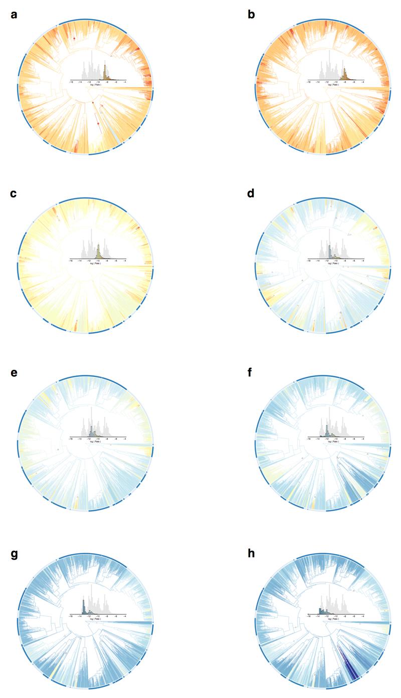 https://cdn.ncbi.nlm.nih.gov/pmc/blobs/57c3/5321581/a5a7f7bb53ee/emss-70920-f008.jpg