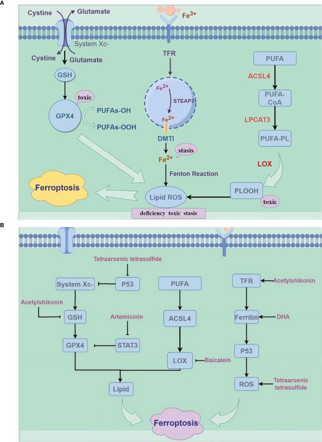 https://cdn.ncbi.nlm.nih.gov/pmc/blobs/57c6/11456518/de98699db7d3/fonc-14-1469178-g001.jpg