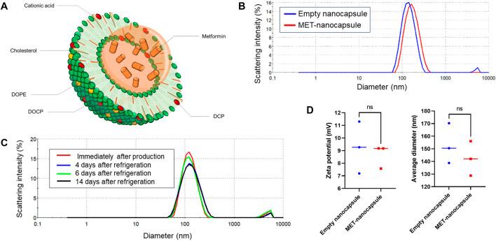 https://cdn.ncbi.nlm.nih.gov/pmc/blobs/57c8/12075939/ef1bfe97ce97/fphar-16-1577570-g001.jpg
