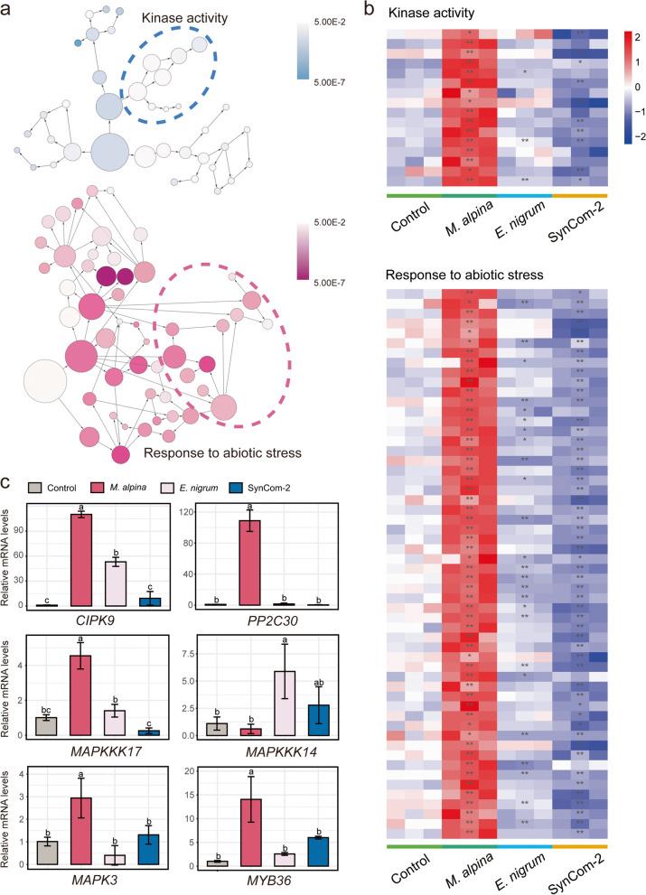 https://cdn.ncbi.nlm.nih.gov/pmc/blobs/57cb/10910722/3ee111db451b/40168_2024_1770_Fig6_HTML.jpg