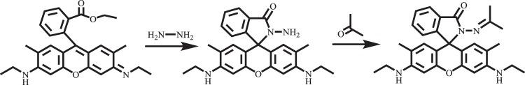 https://cdn.ncbi.nlm.nih.gov/pmc/blobs/57cb/7205978/36e53ed9b5a9/41598_2020_64549_Sch1_HTML.jpg