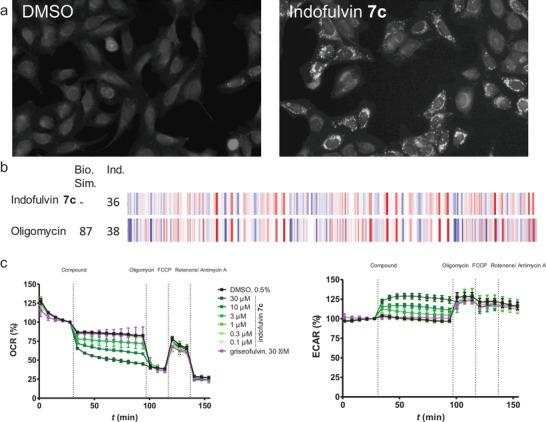 https://cdn.ncbi.nlm.nih.gov/pmc/blobs/57cc/8498912/59dcf0c9323d/ADVS-8-2102042-g009.jpg