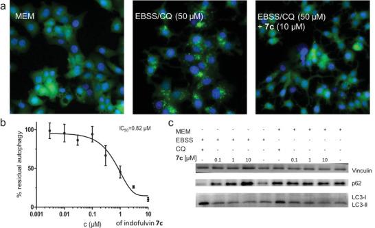 https://cdn.ncbi.nlm.nih.gov/pmc/blobs/57cc/8498912/b8e16124dbd4/ADVS-8-2102042-g004.jpg